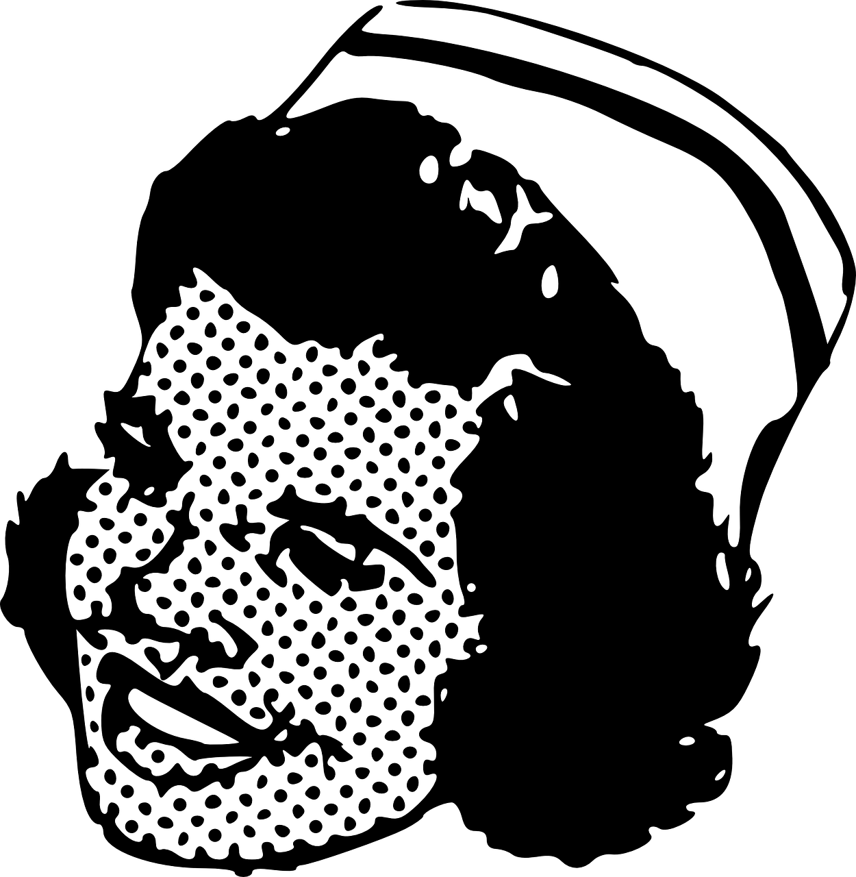 雾里有江馆 第17页